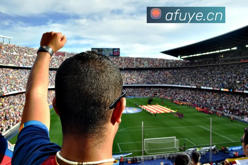 多媒体互动体验